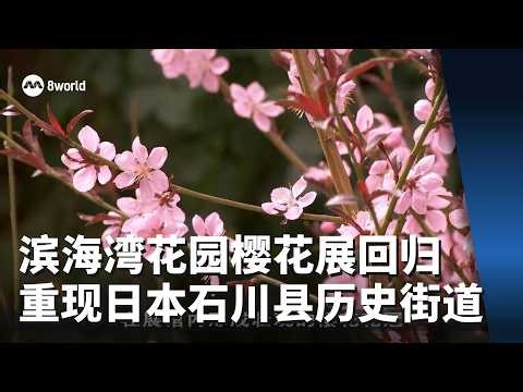 滨海湾花园樱花展回归 重现日本石川县历史街道