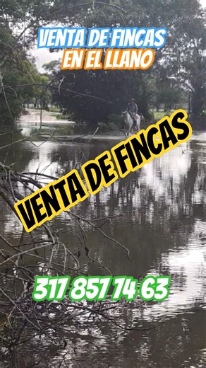 venta de fincas, finca Raíz, #fincallanosariari #realestate #llanosorientales #ventadefincas