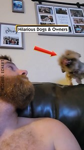 Hilarious Dogs & Owners | Michael Eckert