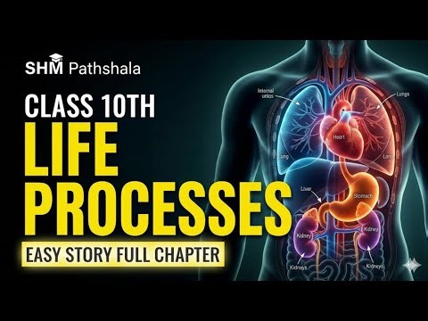 Life Processes Explained with Stories 🔥 | Class 10 Science Full Chapter | SHM Pathshala