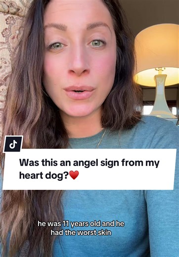 Understanding Angel Signs from Our Pets