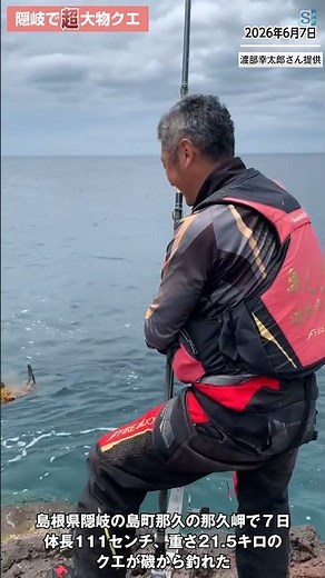 隠岐の島で巨大クエ 島根県