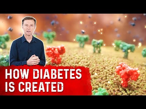 The Role of Insulin in Diabetes: Animation