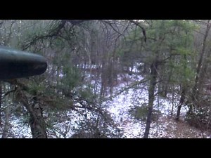 Deer harvest with 20ga slug gun. New Jersey Hunting