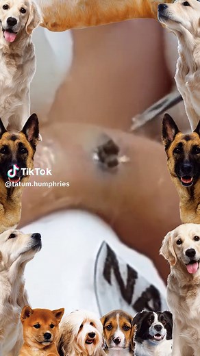 My god!!!😱💕#pimple #cyst #blackhead #USblackhead #cystpopping #fyp