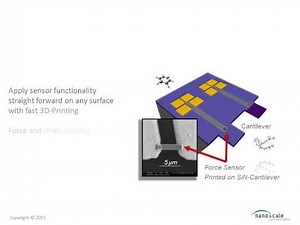 Top Down vs. Bottom Up: 3D-Printing of sensors on the nano scale