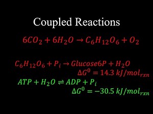 Coupled Reactions, Thermodynamic Favourability - Chemistry