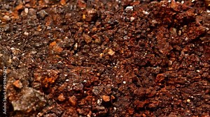 Exploring the rich layers of soil and sediment in a natural environment during a midday expedition