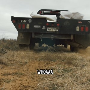 Someone get that old man an intern | Dale Brisby