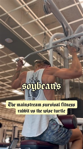The mainstream fitness survival rabbit vs the turtle