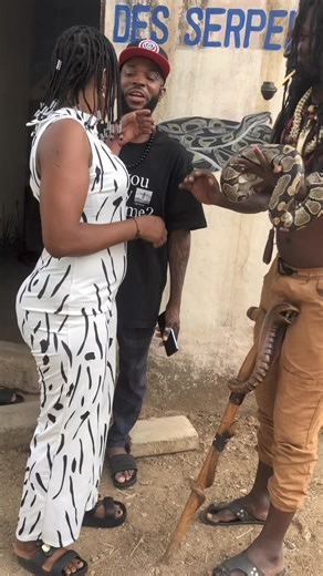 116K views · 1.5K reactions | Ils sont venu affronter leur phobie. NB: le Serpent est un python royal donc non venimeux et innofensif. | Degaule PANDA le fou sage | Facebook