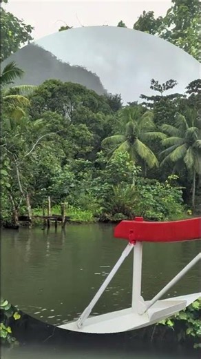 Outrigger Canoe on the River in Raiatea | French Polynesia
