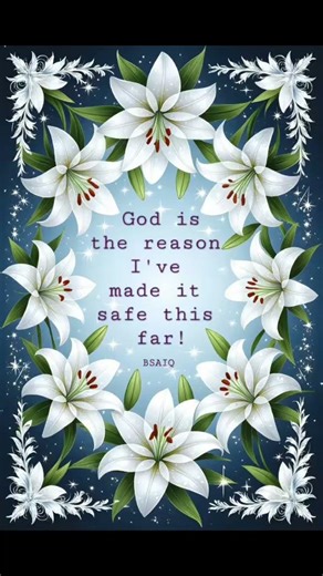 Bible Scriptures and Inspirational Quotes 🌟 🙌 🙏 ♥️ 👏