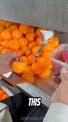 324K views · 936 reactions | Fake Oranges in China_ Their True Purpose | Innovate & Create Clips | Facebook