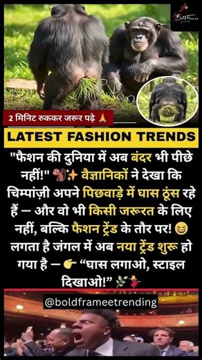 Chimpanzees Start a New Trend?! Did You Know | Funny Fact #didyouknow #facts #animalfacts