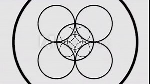 Endless videos where circles of various shapes intersect and stick together