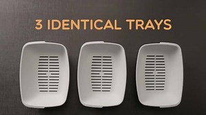 Life Hack EVERY cat owner should know about. | Luuup