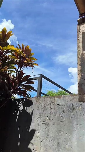 Dodge Challenger Hellcat: Performance Insights and Sound