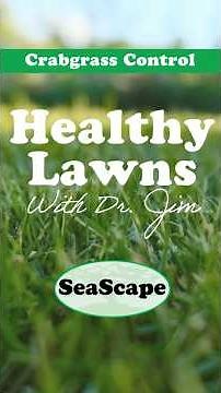 Crabgrass Control: The ULTIMATE Spring Pre-Emergent Strategy
