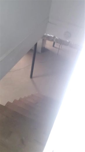 Caught on Camera: Creepy Sounds and Shadows in My Home