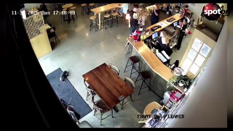 Surprise visit: Seal pup waddles into pub