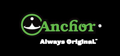 Innovative and Cheesy Creations for Your Menu | Anchor
