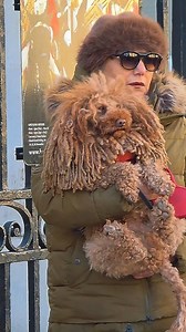 The Cutest Dog with Dreadlocks Steals Hearts at Horse Guards 🐕✨🐎 #HorseGuards #CuteDog #DreadlocksDog #LondonMoments #RoyalLondon #DogLovers #StreetMoments #fblifestyle | The King's Horse Guards London