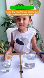 “Color-changing magic with turmeric!” Ever seen yellow water turn red… and then yellow again? We tried this super cool science experiment today using just turmeric, detergent, and vinegar — and my little scientist was amazed! Here’s what you can tell your child: “This is like a magic show, but it’s really science! Turmeric changes color when mixed with something soapy (called a base), and goes back when we add something sour like vinegar (called an acid).” It’s a simple and safe way to introduce