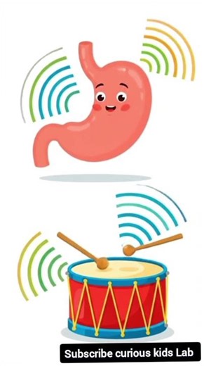 Why Do Our stomach growl | stomach | girl's Stomach Growl | Stomach ache#kidslearning #kidsvideo