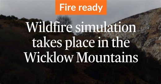 Wildfire simulation takes place in the Wicklow Mountains