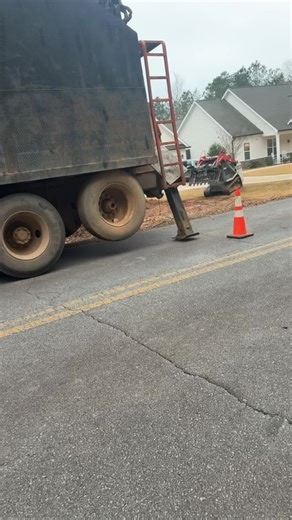 Normalize work dogs (as long as they’re well behaved.) #fyp #treesork #treedog #stumpgrinding
