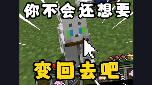 MC兽化模组幻形者诅咒下载！！！