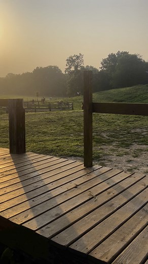 Millbrook Trail Ride horses, coming in for breakfast on a Sunday morning. | Millbrook Trail Rides