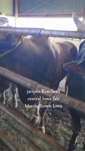 Jaripeo Ranchero Event in Marshalltown, Iowa