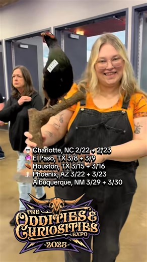 9.8K views · 98 reactions |  Visit Oddities.com for more info about our upcoming events! | Oddities & Curiosities Expo | Facebook