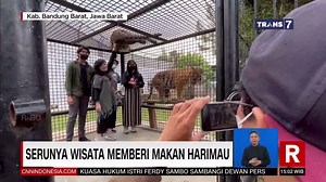 36K views · 568 reactions | Liburan sekolah, pengunjung padati Taman Safari. #Redaksi Butuh yang serba cepat dan gak pake ribet? Cuma Allo Bank yang praktis dan gak bikin kamu ribet! Klik https://qrco.de/socmedtrans7 buat tau! #ExperienceASimpleLife | TRANS7 | Facebook
