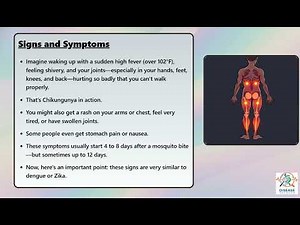 Chikungunya Explained Causes, Symptoms and Treatment, All Insights
