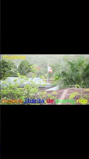 MUSICA JIBARA MIX DE PUERTO RICO