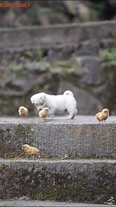 Explore the world as if it is your first day around | People's Daily, China