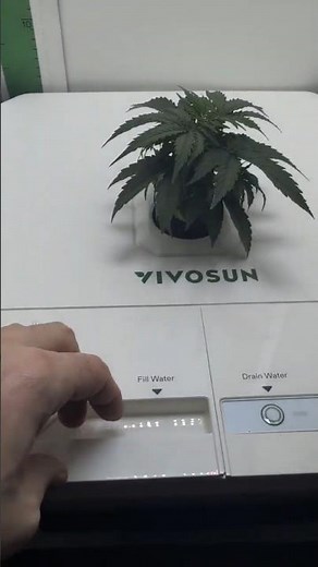 VGrow DWC Upgrade 💧 Big Jake after 9 days – Mini plant, Max Progress!