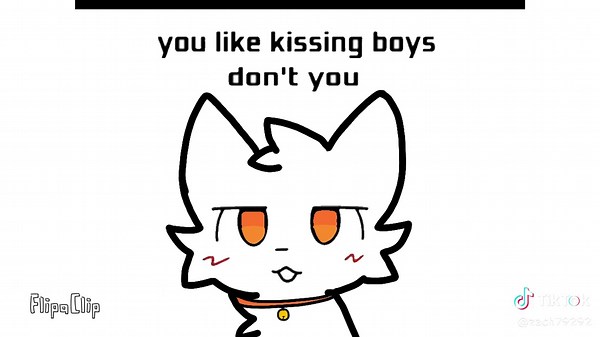 #FlipaClip boy kisser cat | Cat Videos