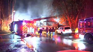 4 Dogs Missing After House Fire in Bellingham