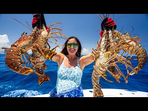 Catching BIG SPINY LOBSTER! South Florida FREE-DIVING. Catch, Clean, Cook!