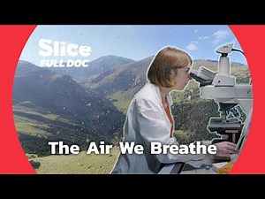 Microorganisms: The Tiny Life Above Our Heads | FULL DOC