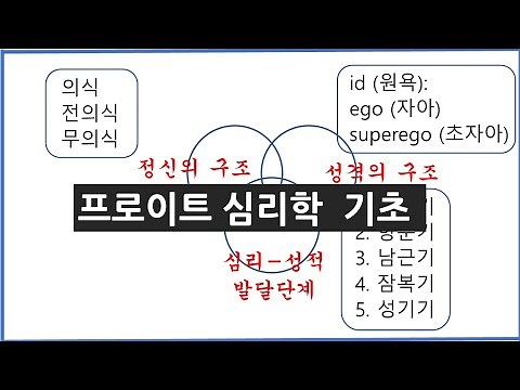 프로이트 심리학 기초