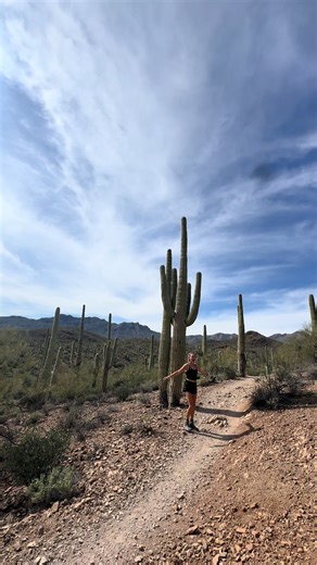 Exploring Arizona's Scenic Hikes