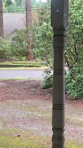 Crows Crash Out at the Buffet