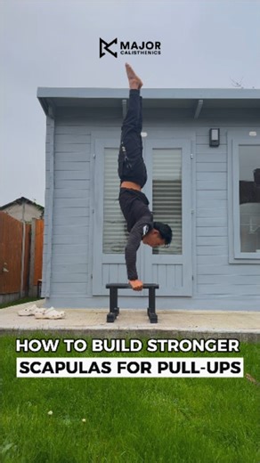 Strong scapulas = safer & stronger pull-ups #calisthenics #pullups #scapulatraining #mobility #bodyweighttraining | Patchads
