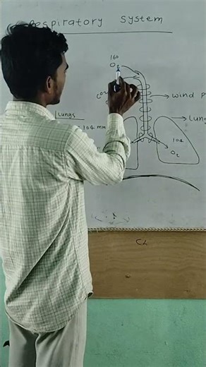 lungs me oxygen kise inter karta hai #shorts