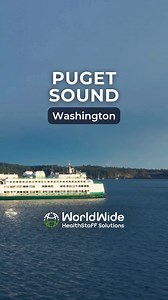 Set sail across Washington, where skyline meets island charm, and mountains watch over every wave! These iconic ferry routes offer a perfect blend of scenic beauty, wildlife, and small-town discoveries. Seattle to Bainbridge Island: Glide past the glittering city and Olympic peaks on the most popular route in the system. Mukilteo to Clinton: Combine a lighthouse stop with peaceful island vibes and dreamy coastal photo ops. Anacortes to San Juan Islands: Adventure through the archipelago to Frida